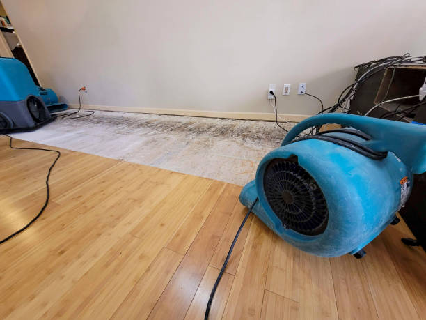 Professional Water Removal technician working in Guilford, ME